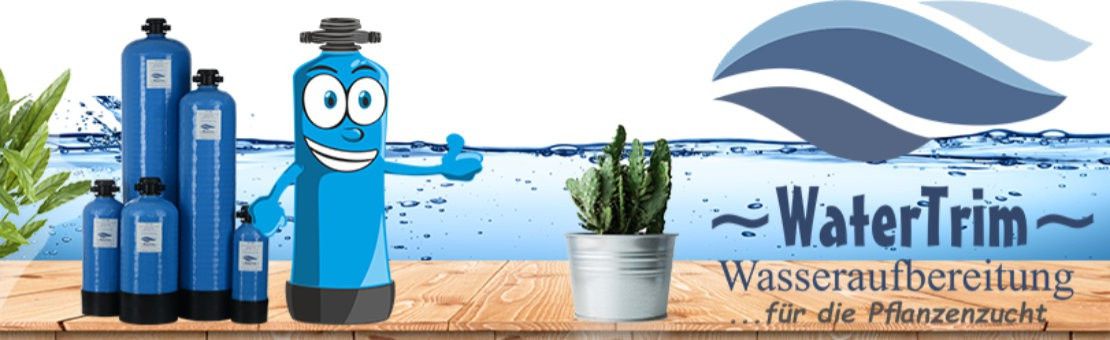 Wasserfilter